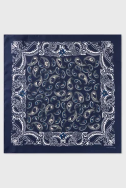 SCARF HOUNDS PAISLEY